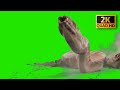 Monster Green Screen Animation Effects