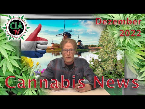 CannaNews Dezember 2022 - Deutschland, Bayern, Berlin, Niederlande, Amsterdam, USA, Schweiz