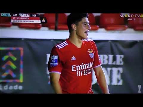 2021-11-30 Estrela,3 - Benfica B,6 Liga 2 Resumo