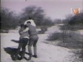 Raza Odiada (Pito Wilson)-Brujeria 