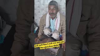 Download lagu JANI JANI PILA DE PANI ||VIRAL VEDIO mp3