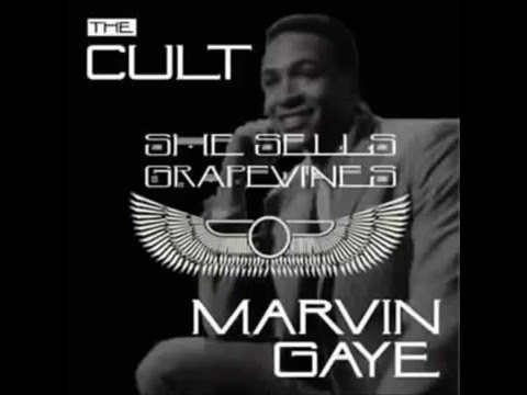 She Sells Grapevines - The Cult vs Marvin Gaye [Irn Mnky Mashup]