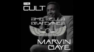 She Sells Grapevines - The Cult vs Marvin Gaye [Irn Mnky Mashup]