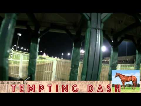 2014 Dash For Cash Futurity: Bonus Coverage