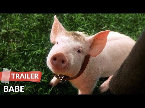YouTube Trailer