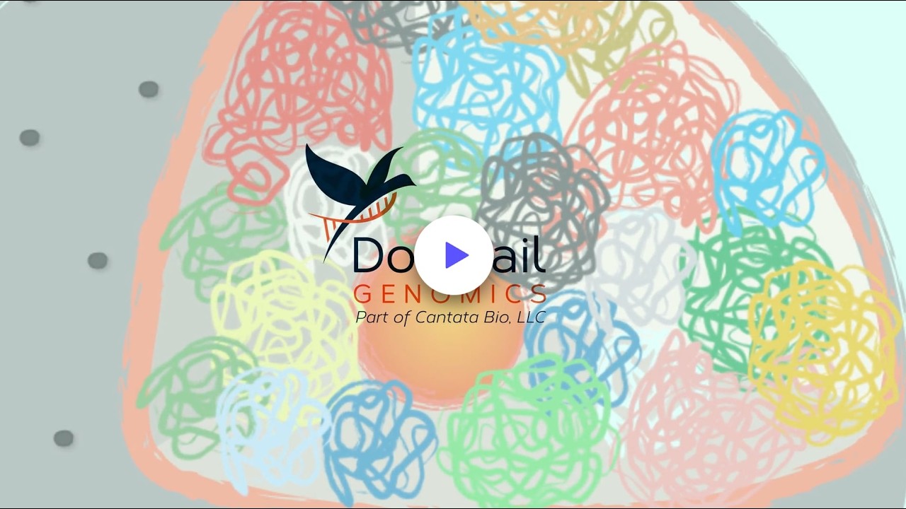 Dovetail Genomics Technology Video