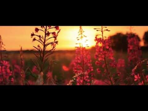 W.S Argan Oil Commerical