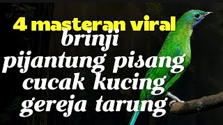 Download lagu 4 MASTERAN VIRAL | BELAJAR SUSUN MATERI, BRINJI, PIJANTUNG, CUCAK KUCING DAN GEREJA TARUNG mp3 Download lagu 4 MASTERAN VIRAL | BELAJAR SUSUN MATERI, BRINJI, PIJANTUNG, CUCAK KUCING DAN GEREJA TARUNG mp3