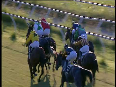 Galoppo 29/06/2018 - 4ª corsa