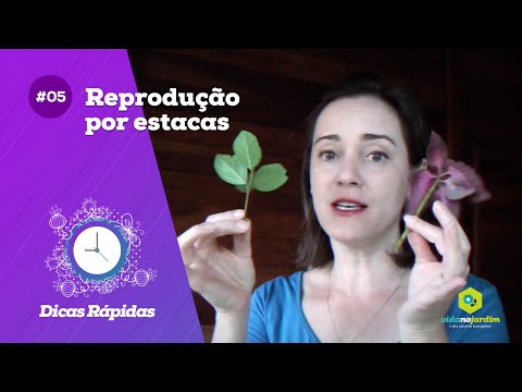 , title : 'Reprodução por estacas #05 - Dicas Rápidas'