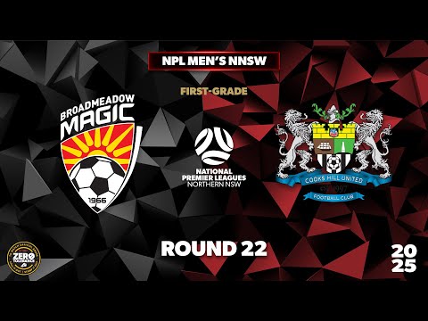 NPL Men's NNSW Round 22 First Grade - Broadmeadow Magic v Cooks Hill United