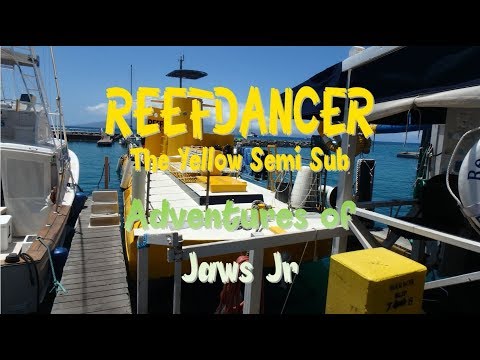 ReefDancer The Yellow Semi Sub