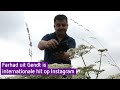 Farhad is met zijn foto's een internationale hit op Instagram