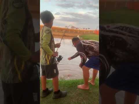 Pescaria no Pesqueiro Peixe Bonito em Santa Rita d'Oeste/SP. Pirarara Baby...