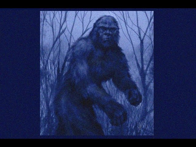 In Search Of Sasquatch ... With Leonard Nimoy (1978)!