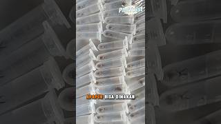 Download lagu Undur Undur is selling well in China #shortvideo #excited #youtubeshorts #undurundur #extremefood mp3