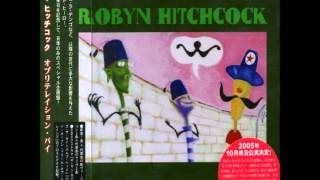Robyn Hitchcock - Arms Of Love