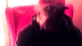 Dominic Deas Official Music Video-"Moonlight"