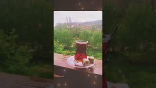 Mahmut Çınar-Bilmediğimiz yerlerde gül gibi yaşarız