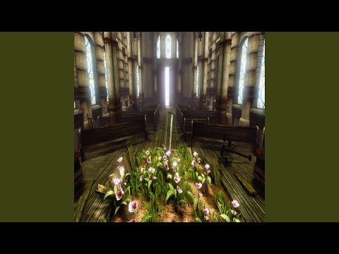 N0 TIES (Feat. avi.airy and KNIVE$)