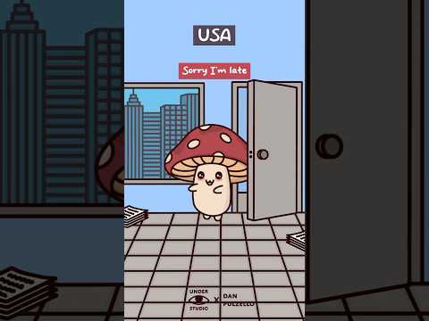 Under Studio and Dan Pulzello