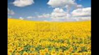 Agoria - Sky Is Clear