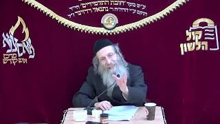 הרב אלימלך בידרמן | 🔴שידור חי! ליל עשרה בטבת - פרשת ויחי תשפ"ו (ארגון קול הלשון) - התמונה מוצגת ישירות מתוך אתר האינטרנט יוטיוב. זכויות היוצרים בתמונה שייכות ליוצרה. קישור קרדיט למקור התוכן נמצא בתוך דף הסרטון