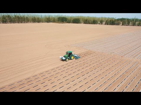 GLOBALink | China's BeiDou navigation system facilitates unmanned farming in Inner Mongolia