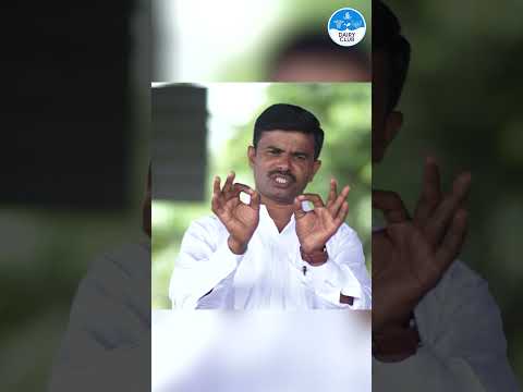 ३ महिन्यात गायी - म्हशी गर्भवती राहिल्या पाहिजेत !!