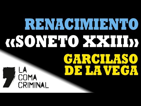 Soneto XXIII - Garcilaso de la Vega. Comentario de texto resuelto. Lengua Castellana y Literatura.