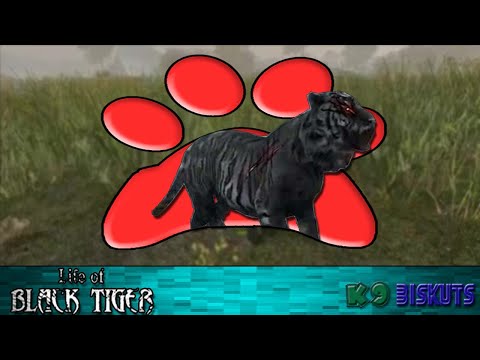 Life of Black Tiger - K9Biskuts