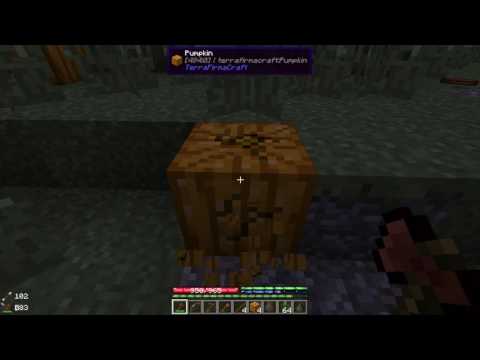 Terrafirmacraft Episode 30
