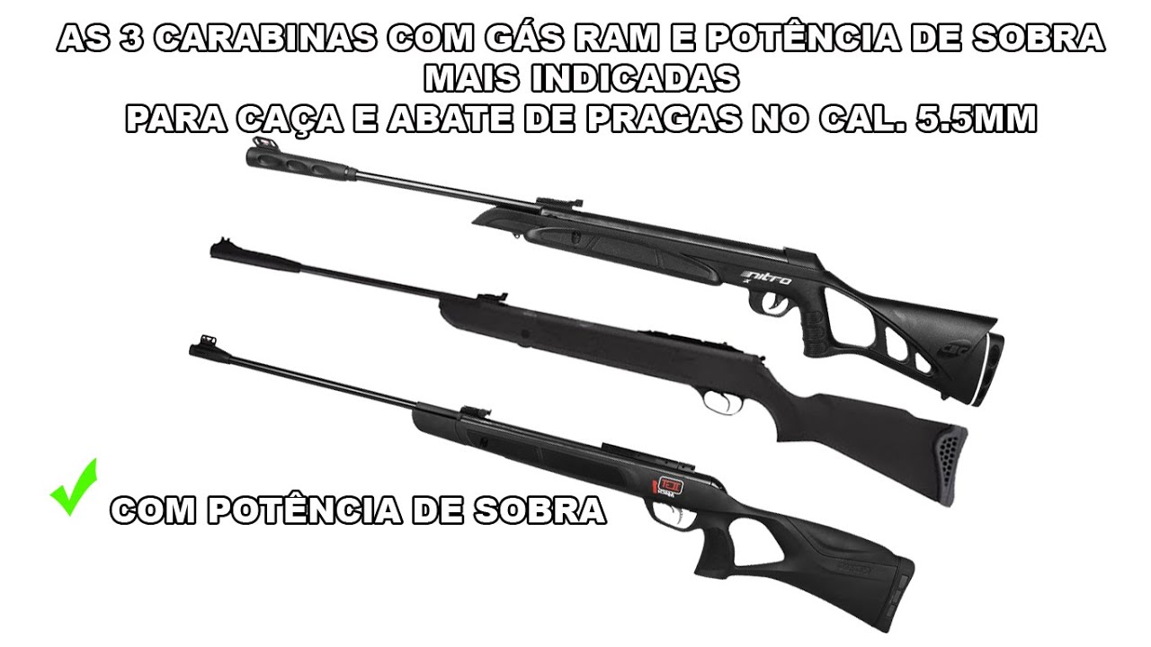 3 CARABINAS  DE PRESSÃO 5.5 BOAS PARA CAÇA E ABATE DE PRAGAS ACIMA DOS 35 JOULES