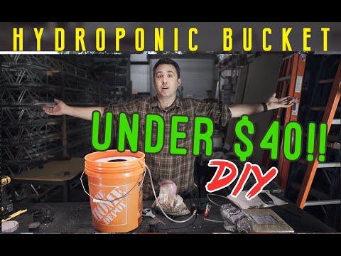 Video: Hydroponics Bucket Grower for UNDER $40! DIY Build. DWC Deep Water Culture hydro grow station.