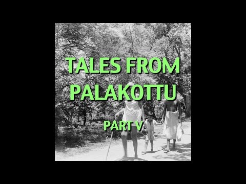 Talks on Sri Ramana Maharshi: Narrated by David Godman - Tales From Palakottu (Part V)