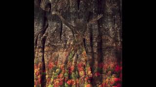 Video Žezlo de Cocoman 