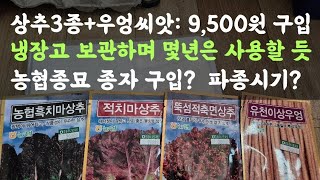 상추3종, 우엉씨앗 9,500원 구입