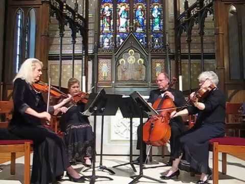 Promotional video thumbnail 2 for Strings of Choice