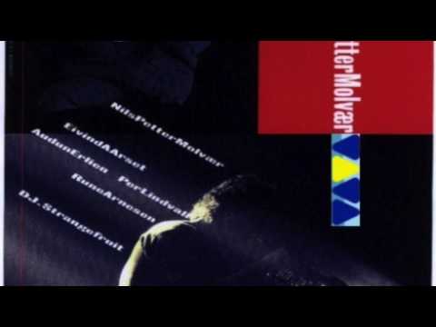 Nils Petter Molvaer - Viva 2 Overdrive 2001 - Vilderness