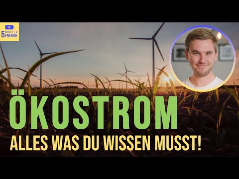 Alles was du jetzt über ÖKOSTROM wissen musst!