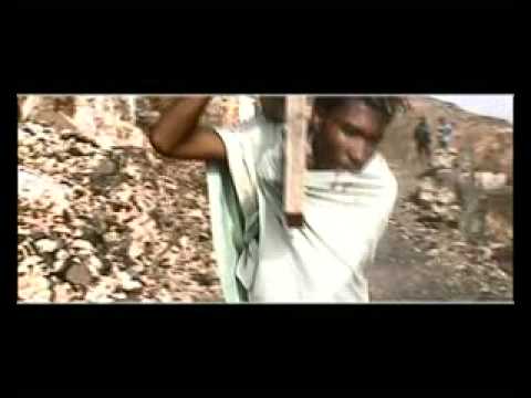 Expavi: Nova Ordem Mundial participasão de Tiago