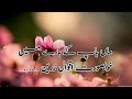 Beutiful And Amaizing Aqwal E Zareen About Mother Father Quotes In Urdu