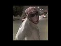 MC LIVINHO E DJ GUUGA VIDRADO EM VOCE DJGUUGA SLOWED