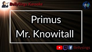 Primus - Mr. Knowitall (Karaoke)