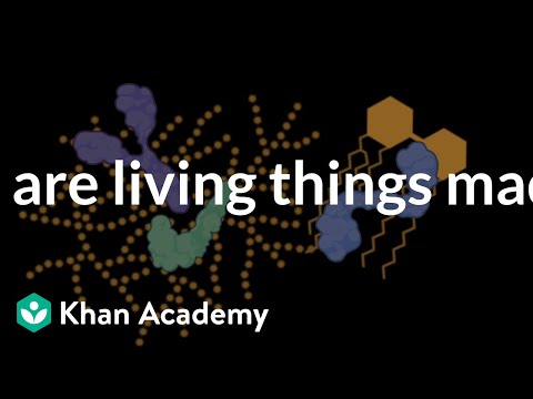 What are living things made of? | Biology course intro | Khan Academy