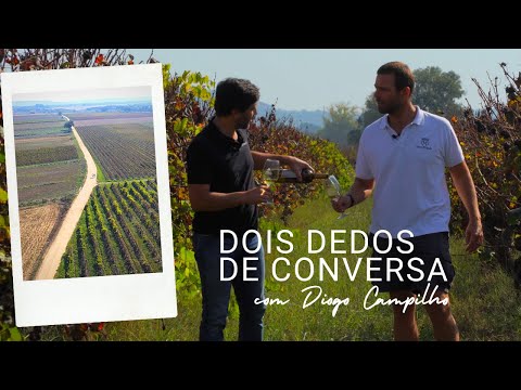 Dois Dedos de Conversa | DOC Tejo | Hélder Cunha Winemaker - Powered by Casca Wines