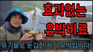 효과없는 사기치는 유박비료 선별하는 법 How to identify oily fertilizers that …