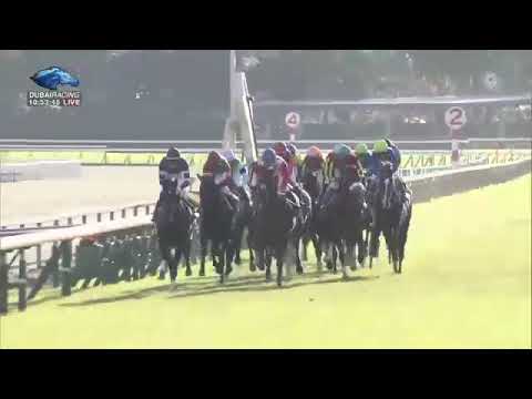 2018.10.21 Kikuka Sho (Japanese St. Leger) - Fierement