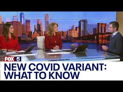 Understanding the New Variant: What You Need to Know