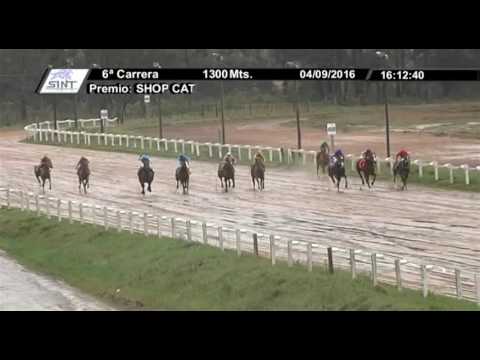 04/09/2016 – Hipodromo Melo – Carr 6 – SHOP CAT